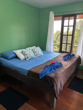 Corcovado Shelsy's House